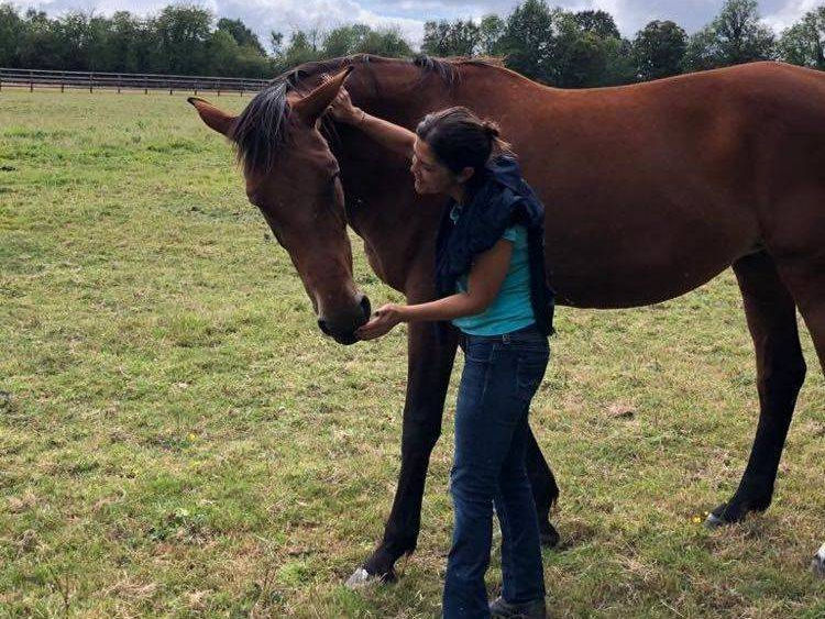 original?tenant=vbu-digital