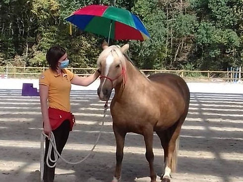 original?tenant=vbu-digital