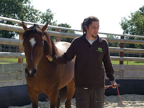 original?tenant=vbu-digital