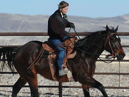 original?tenant=vbu-digital