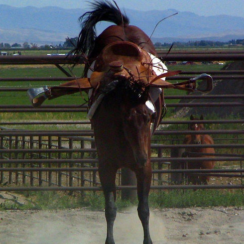 original?tenant=vbu-digital