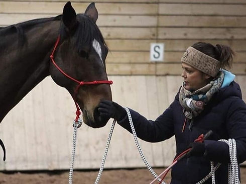 original?tenant=vbu-digital