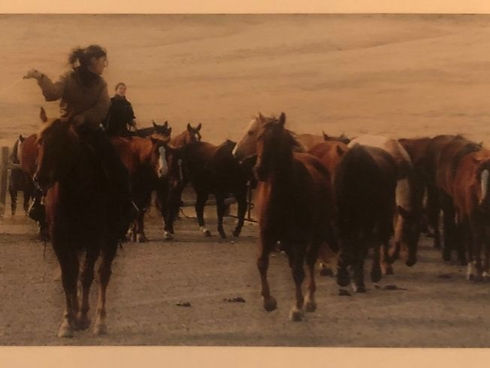 original?tenant=vbu-digital